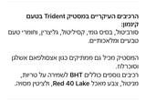 Trident Cinnamon טרידנט מסטיק קינמון 28 יחידות